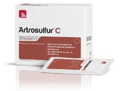 ARTROSULFUR C 28BUST